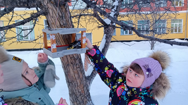 Поможем птицам перезимовать.
